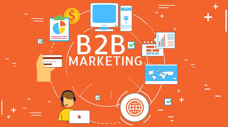 Approaches To Run A Successful B2B Social Media Marketing Campaign | SGN