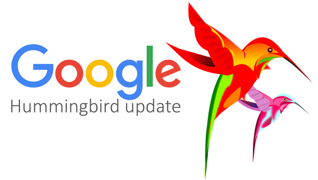 hummingbird- update